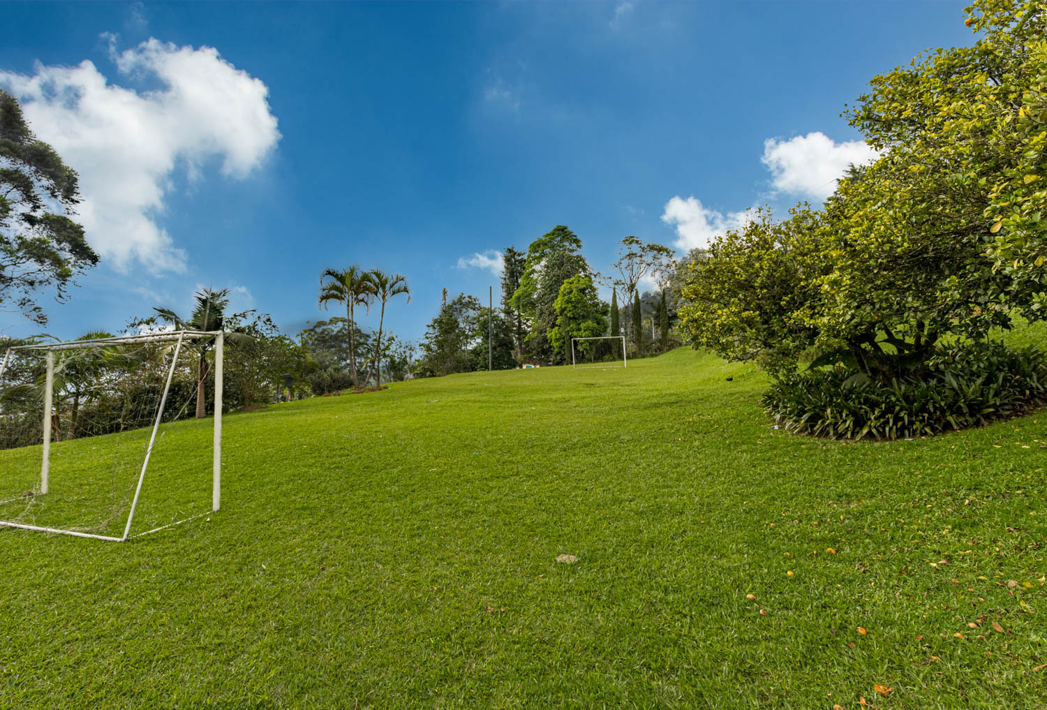 pagina_2_img_1